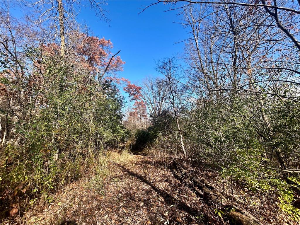 TBD 125th Street Alden Twp WI 54001 7070789 image22