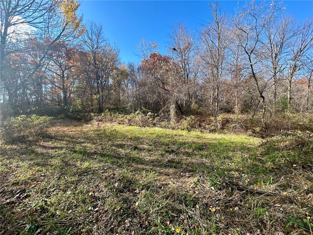 TBD 125th Street Alden Twp WI 54001 7070789 image26