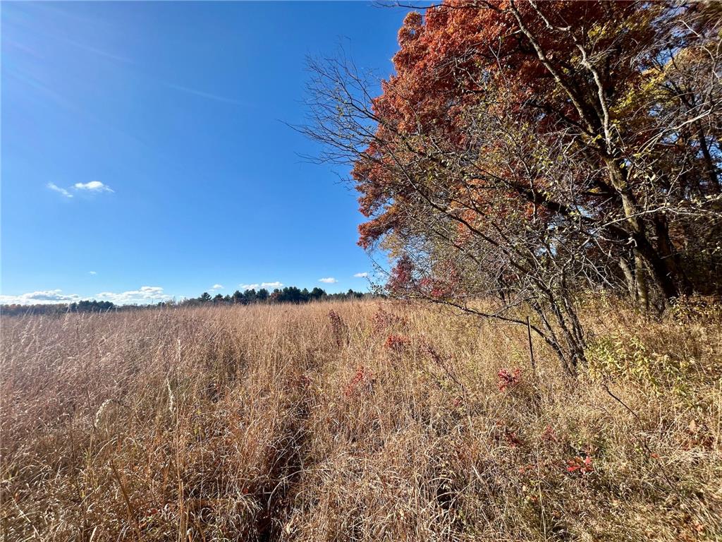 TBD 125th Street Alden Twp WI 54001 7070789 image27
