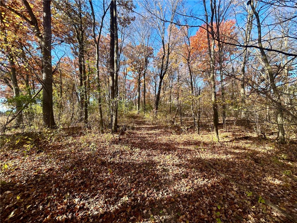 TBD 125th Street Alden Twp WI 54001 7070789 image28