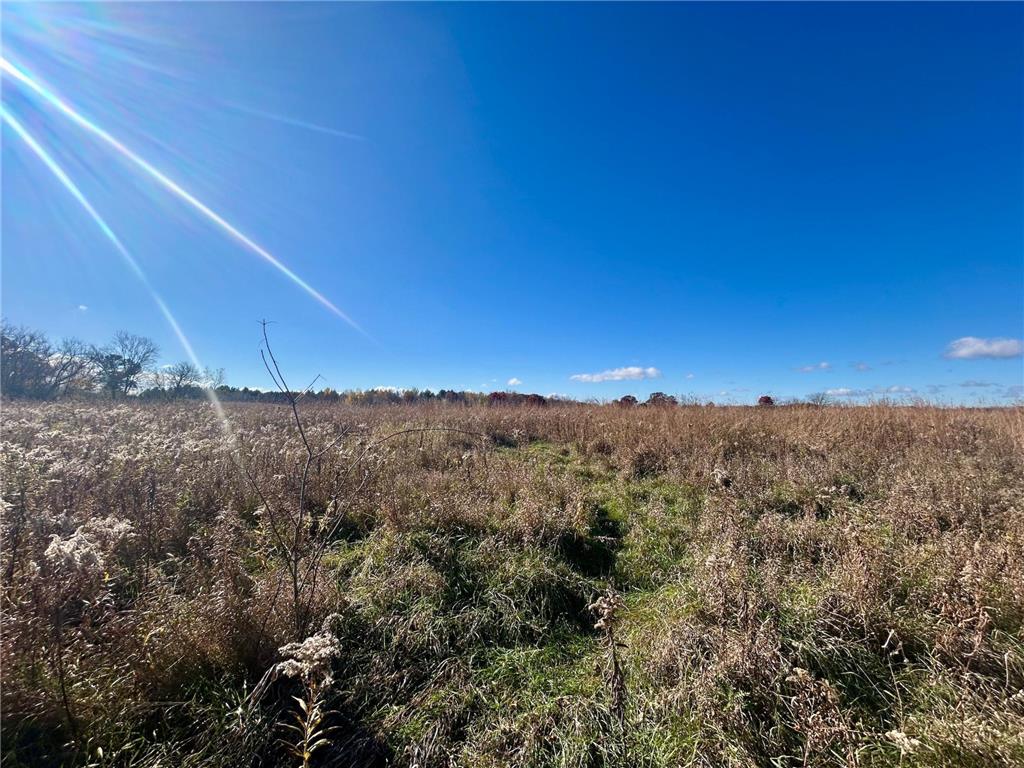 TBD 125th Street Alden Twp WI 54001 7070789 image3