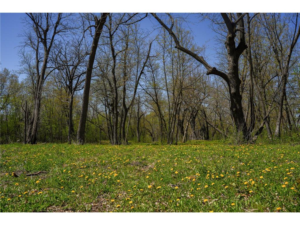 TBD 125th Street Dalton MN 56324 - Sewell 7075427 image10
