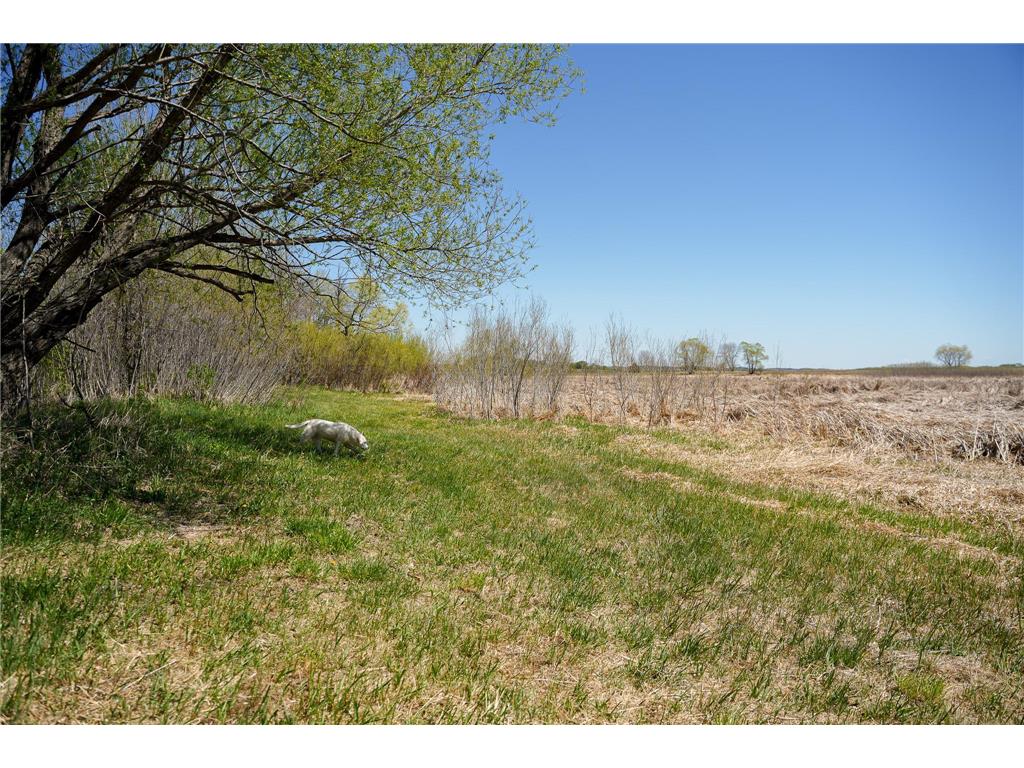 TBD 125th Street Dalton MN 56324 - Sewell 7075427 image25