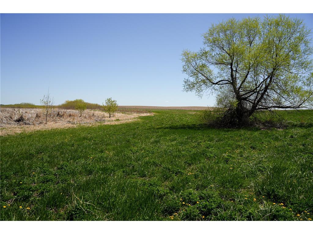 TBD 125th Street Dalton MN 56324 - Sewell 7075427 image27