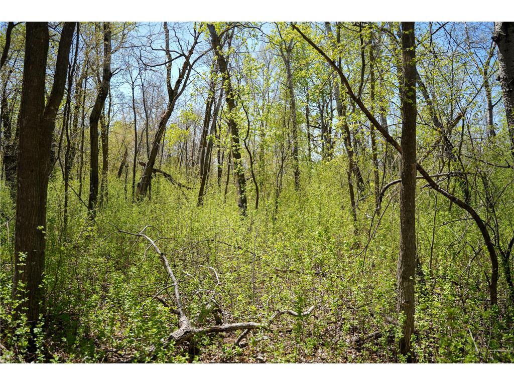 TBD 125th Street Dalton MN 56324 - Sewell 7075427 image33
