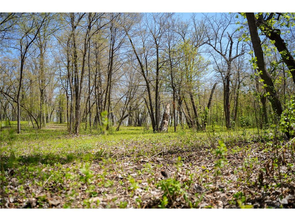 TBD 125th Street Dalton MN 56324 - Sewell 7075427 image34