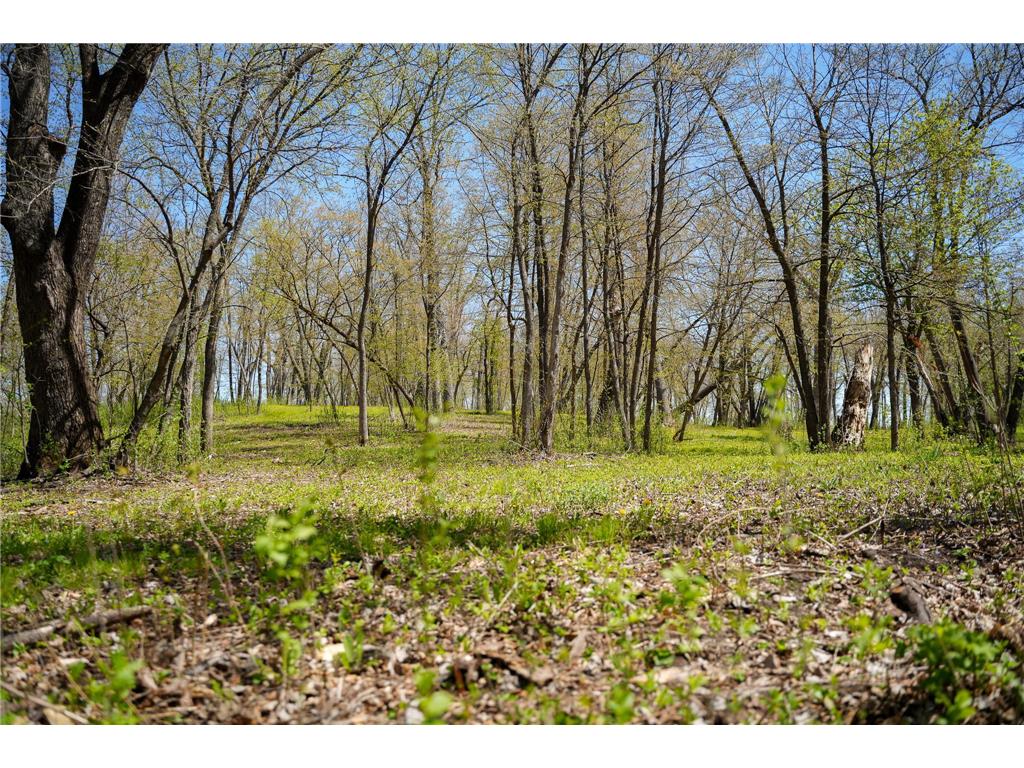 TBD 125th Street Dalton MN 56324 - Sewell 7075427 image35
