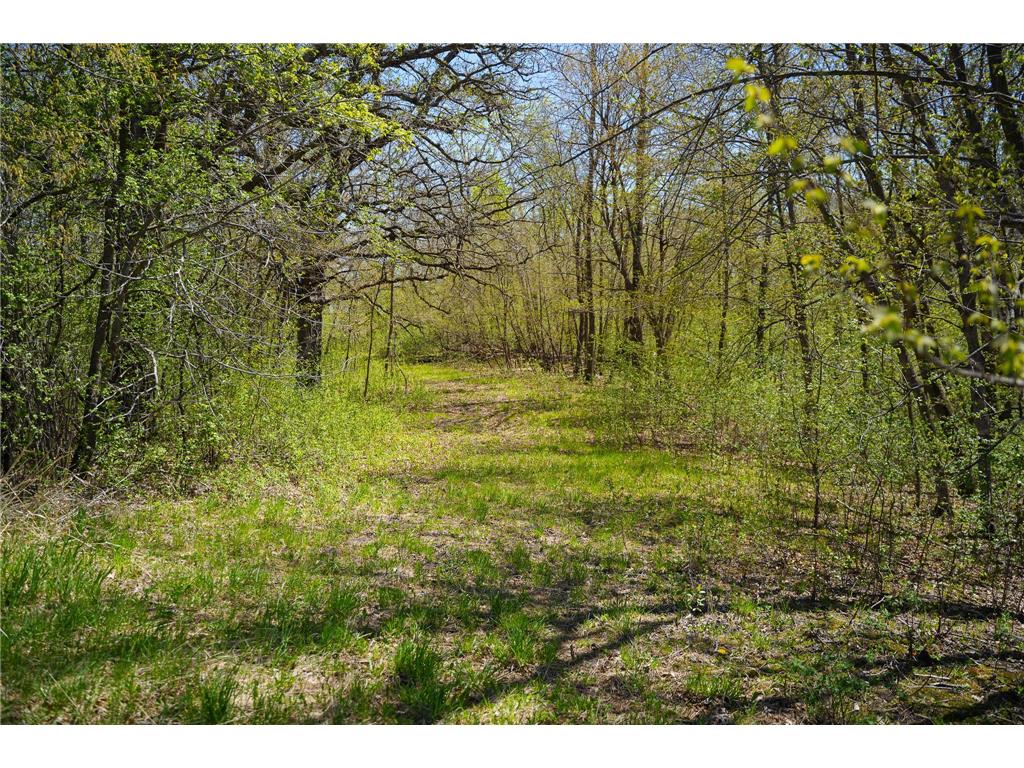 TBD 125th Street Dalton MN 56324 - Sewell 7075427 image36