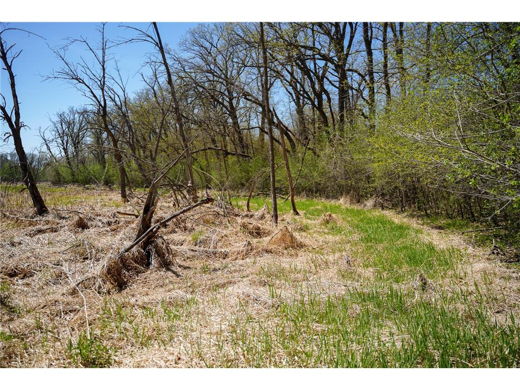 TBD 125th Street Dalton MN 56324 - Sewell 7075427 image37
