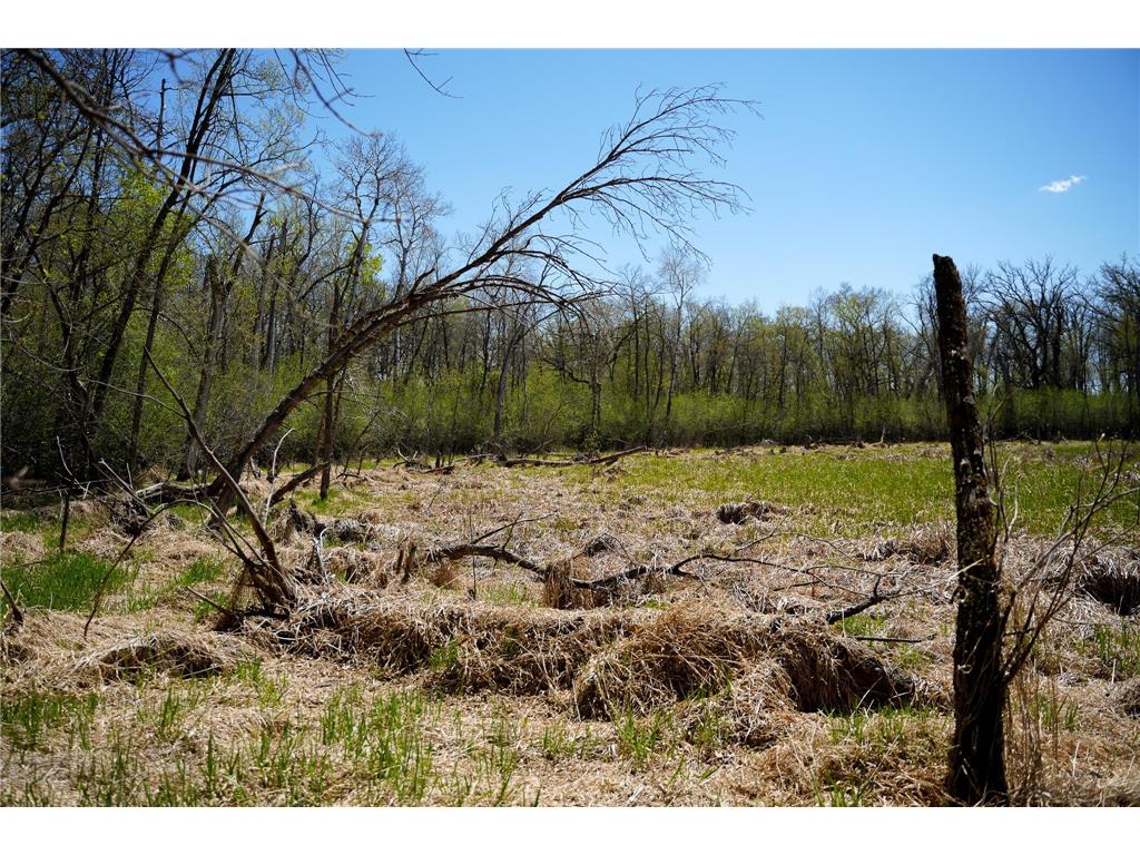 TBD 125th Street Dalton MN 56324 - Sewell 7075427 image38