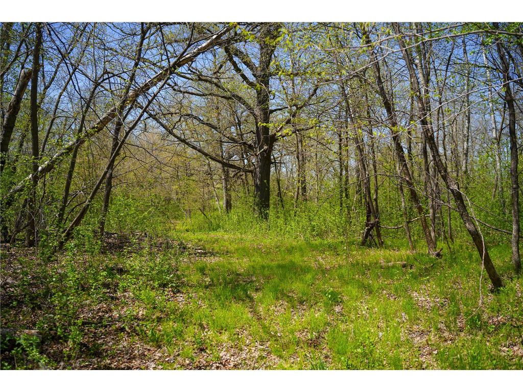 TBD 125th Street Dalton MN 56324 - Sewell 7075427 image39