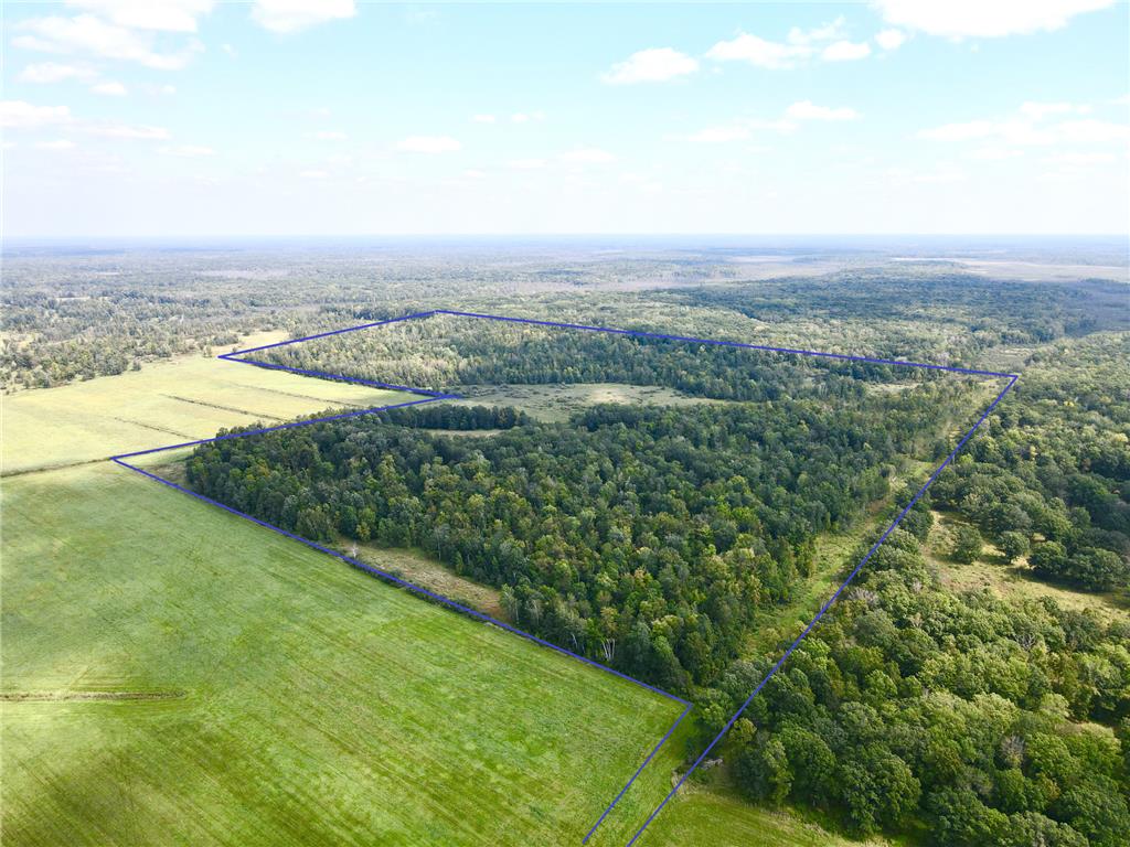 TBD-129AC 425th Avenue Mt. Morris Twp MN 56338 6561072 image1