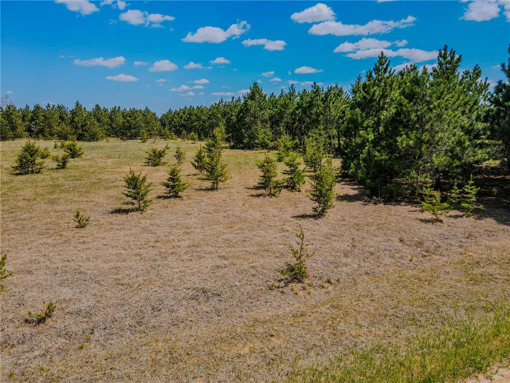 TBD 129th Avenue Menahga MN 56464 7082327 image7