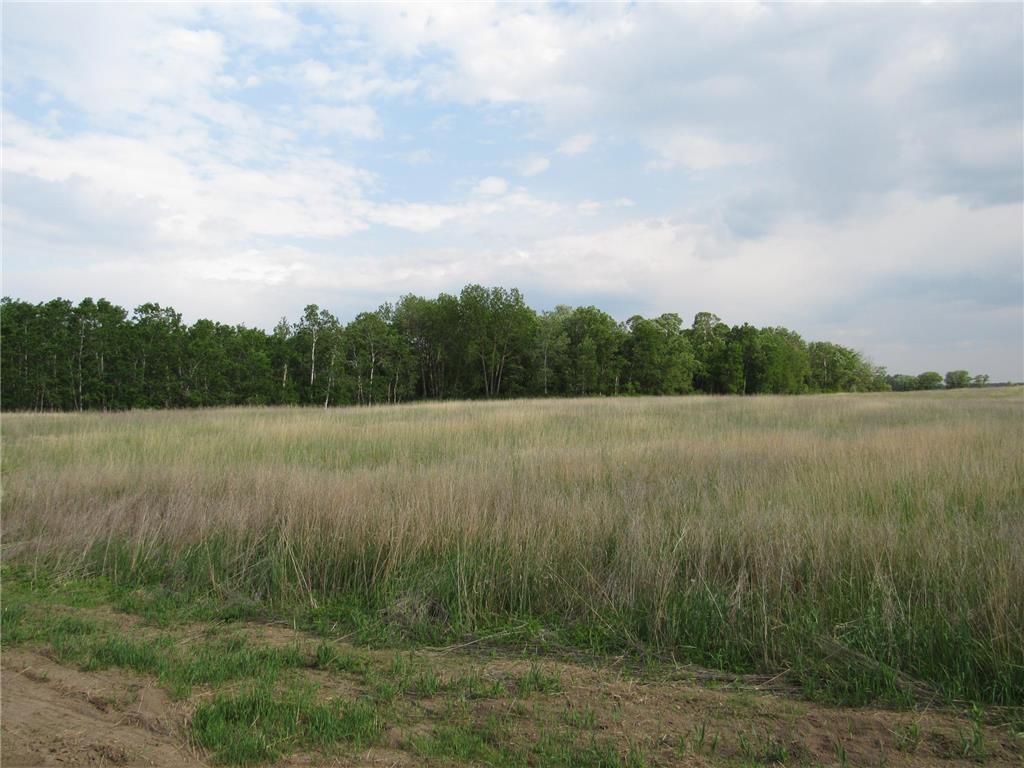 TBD 12TH PARCEL 9 SW Backus MN 56435 6734109 image1