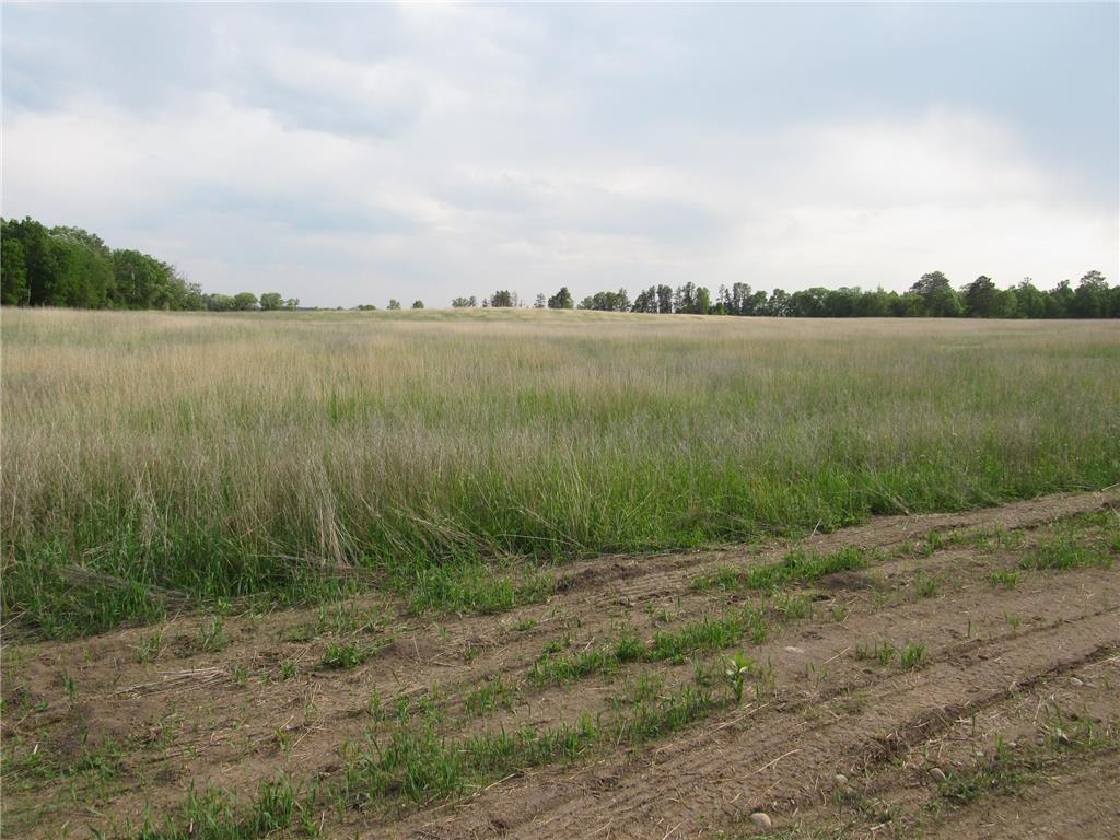 TBD 12TH PARCEL 9 SW Backus MN 56435 6734109 image2