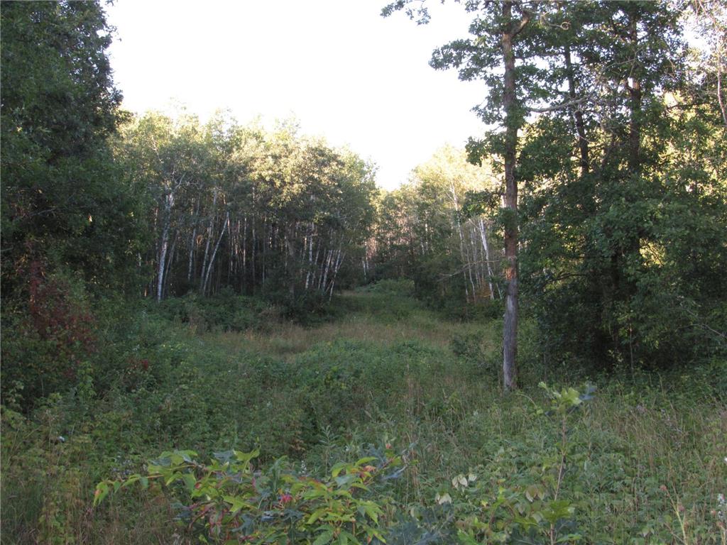 TBD 12th Street SW Backus MN 56435 6595353 image1