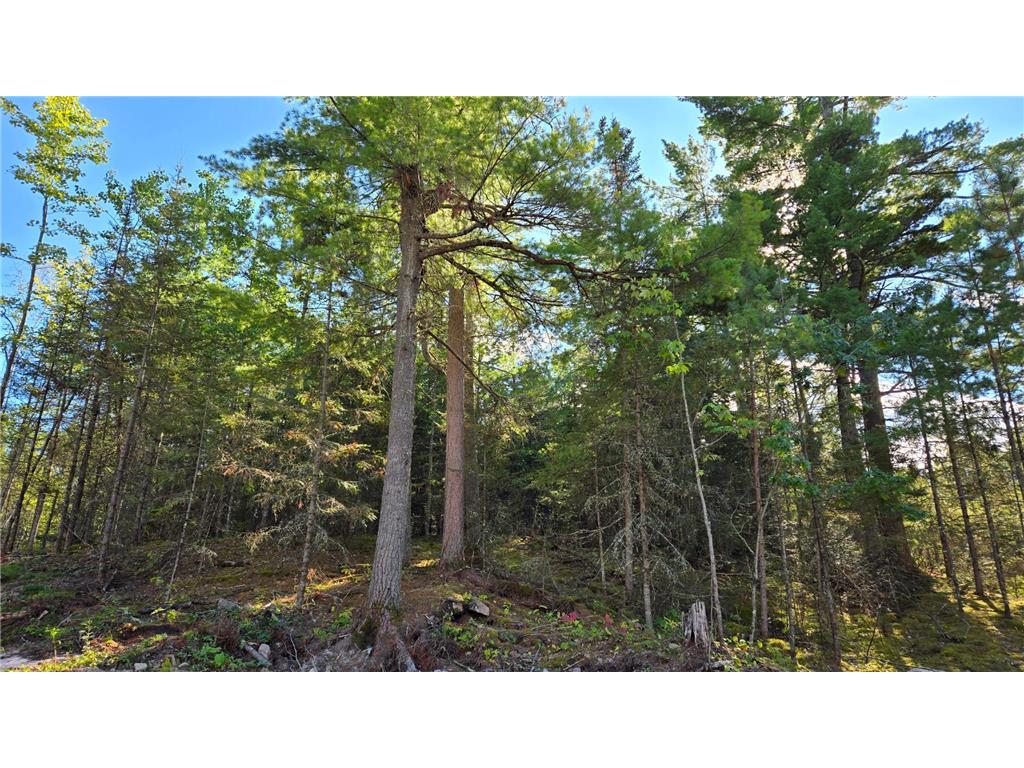 TBD 13.7 Crane Lake Road Crane Lake MN 55725 7059144 image19