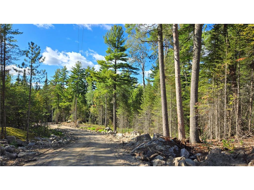 TBD 13.7 Crane Lake Road Crane Lake MN 55725 7059144 image20
