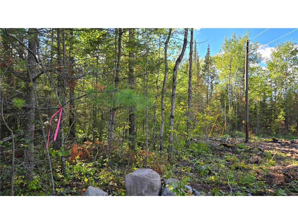TBD 13.7 Crane Lake Road Crane Lake MN 55725 7059144 image22