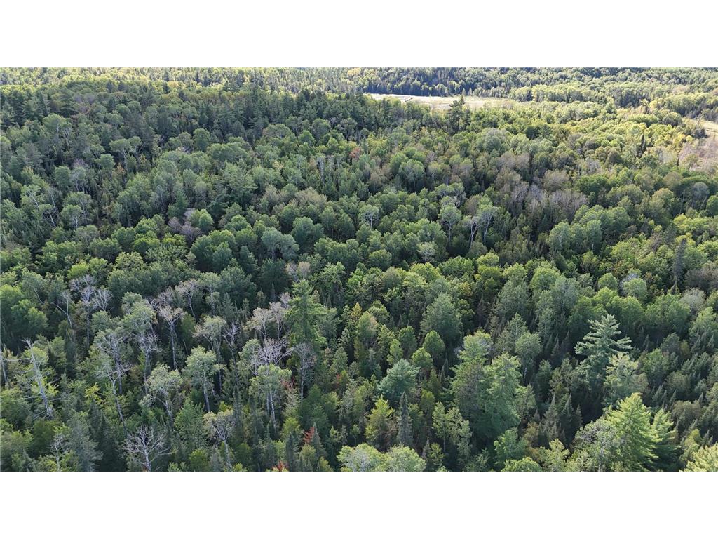 TBD 13.7 Crane Lake Road Crane Lake MN 55725 7059144 image28