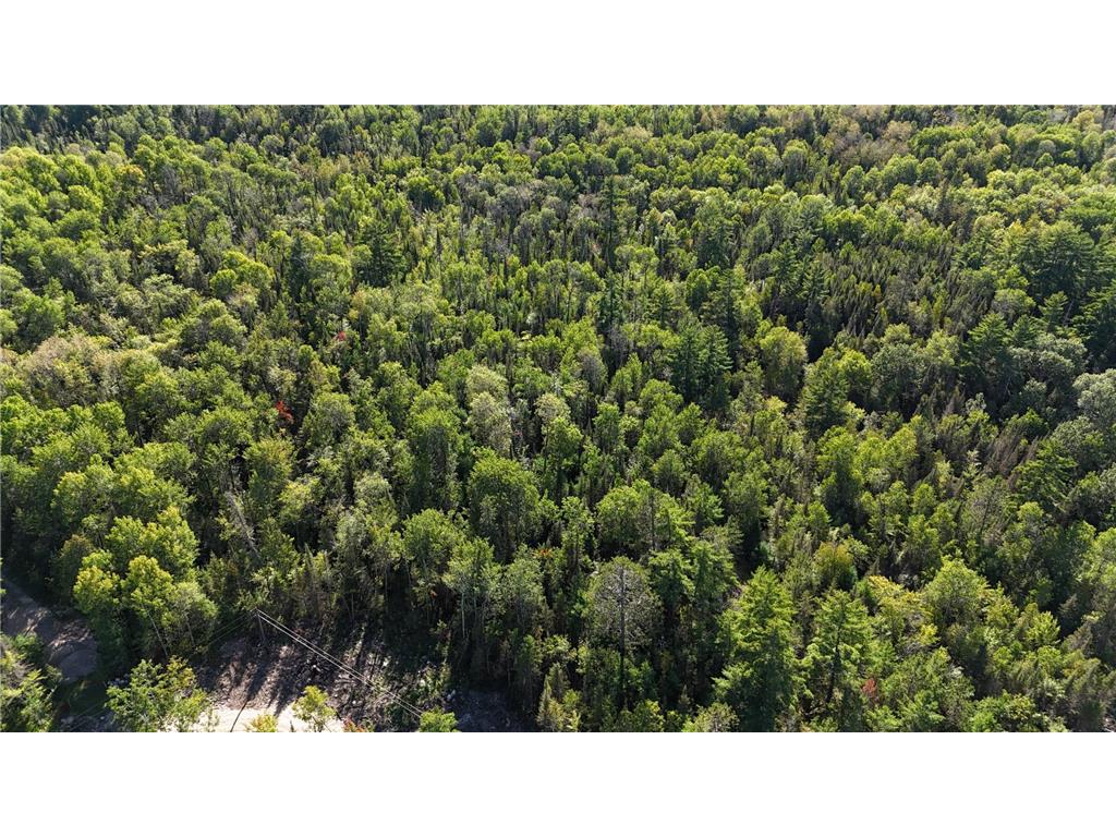 TBD 13.7 Crane Lake Road Crane Lake MN 55725 7059144 image35