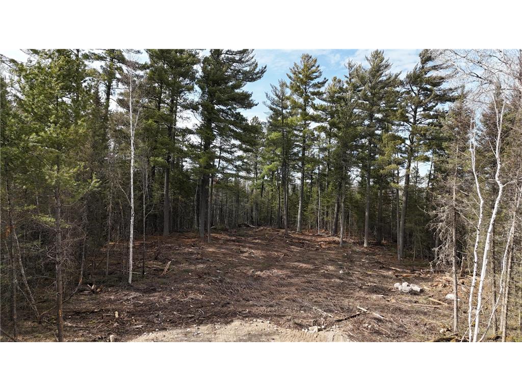 TBD 13.7 Crane Lake Road Crane Lake MN 55725 7059144 image4