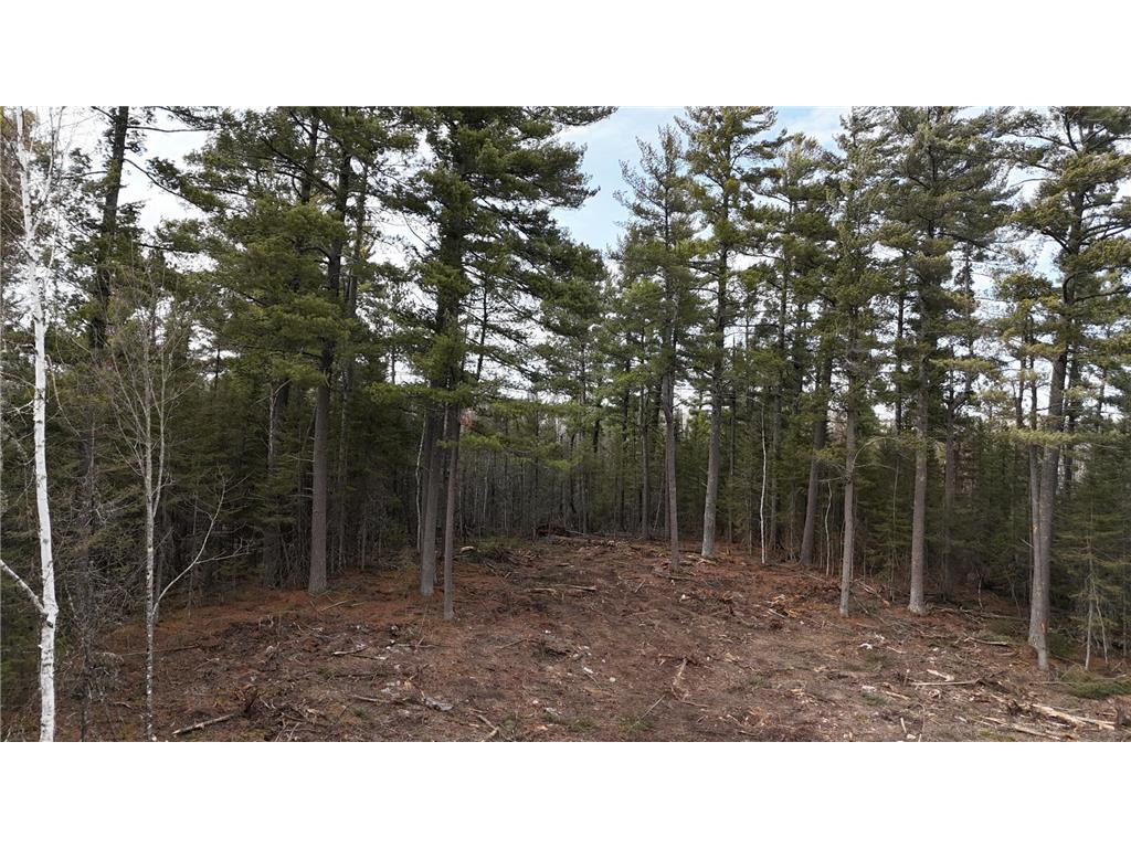 TBD 13.7 Crane Lake Road Crane Lake MN 55725 7059144 image5