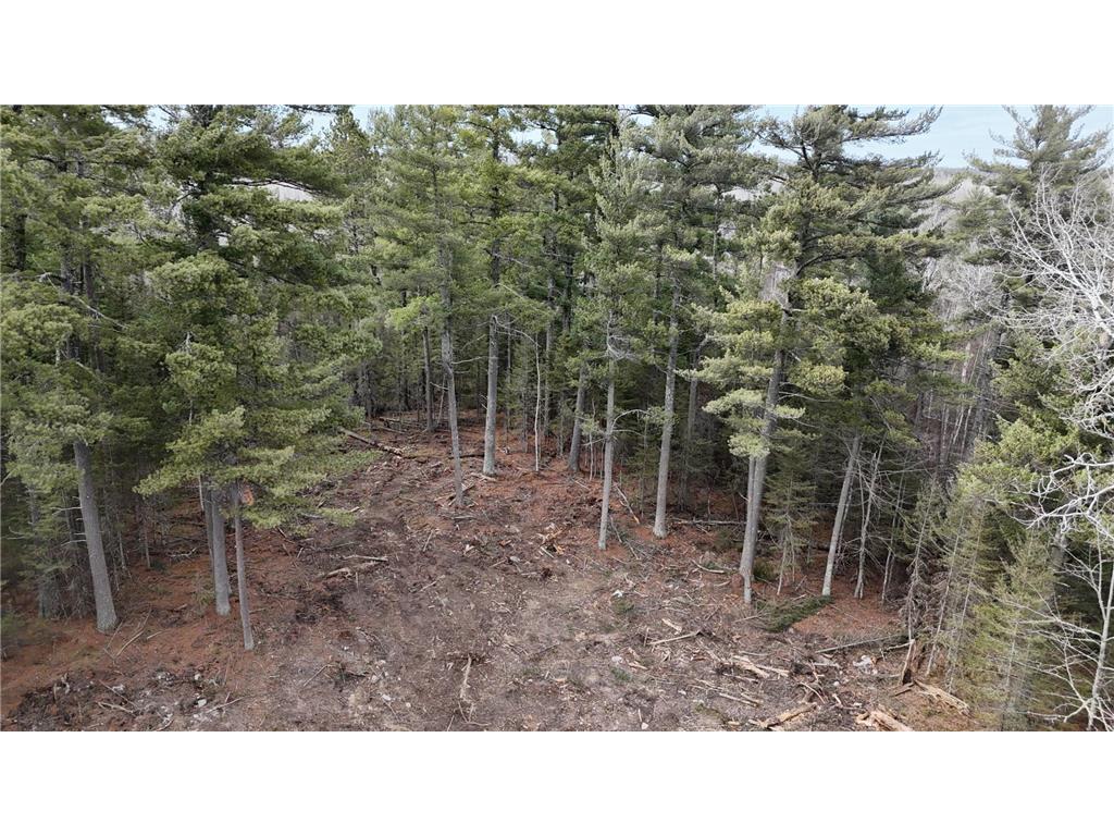 TBD 13.7 Crane Lake Road Crane Lake MN 55725 7059144 image6