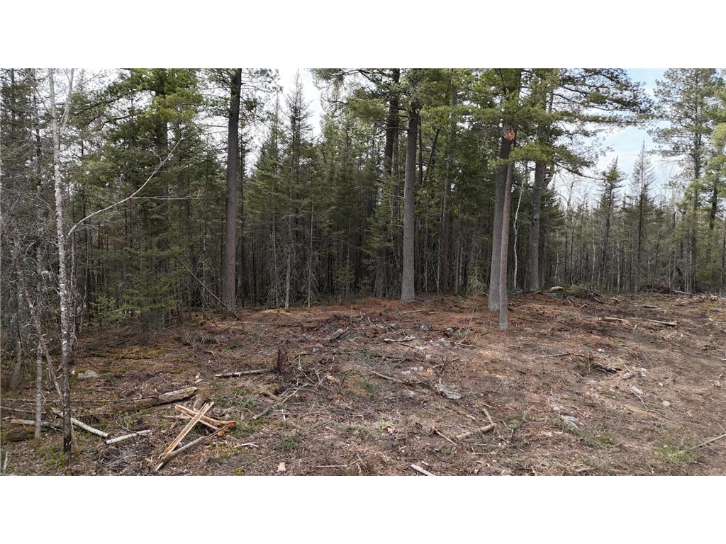 TBD 13.7 Crane Lake Road Crane Lake MN 55725 7059144 image8