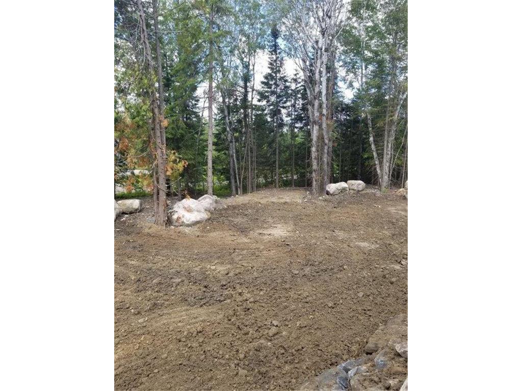 TBD 13 Lake Ave S Tower MN 55790 - Vermilion 7018316 image6