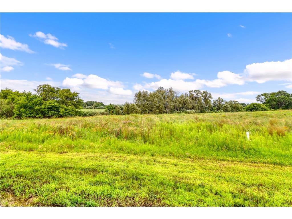TBD 130TH Street Detroit Lakes MN 56501 7048094 image6