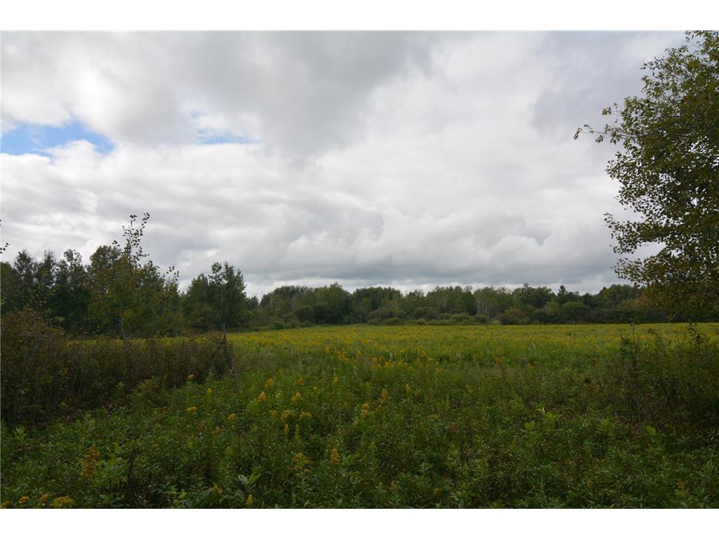 TBD 130th Avenue Milaca Twp MN 56353 7065096 image10