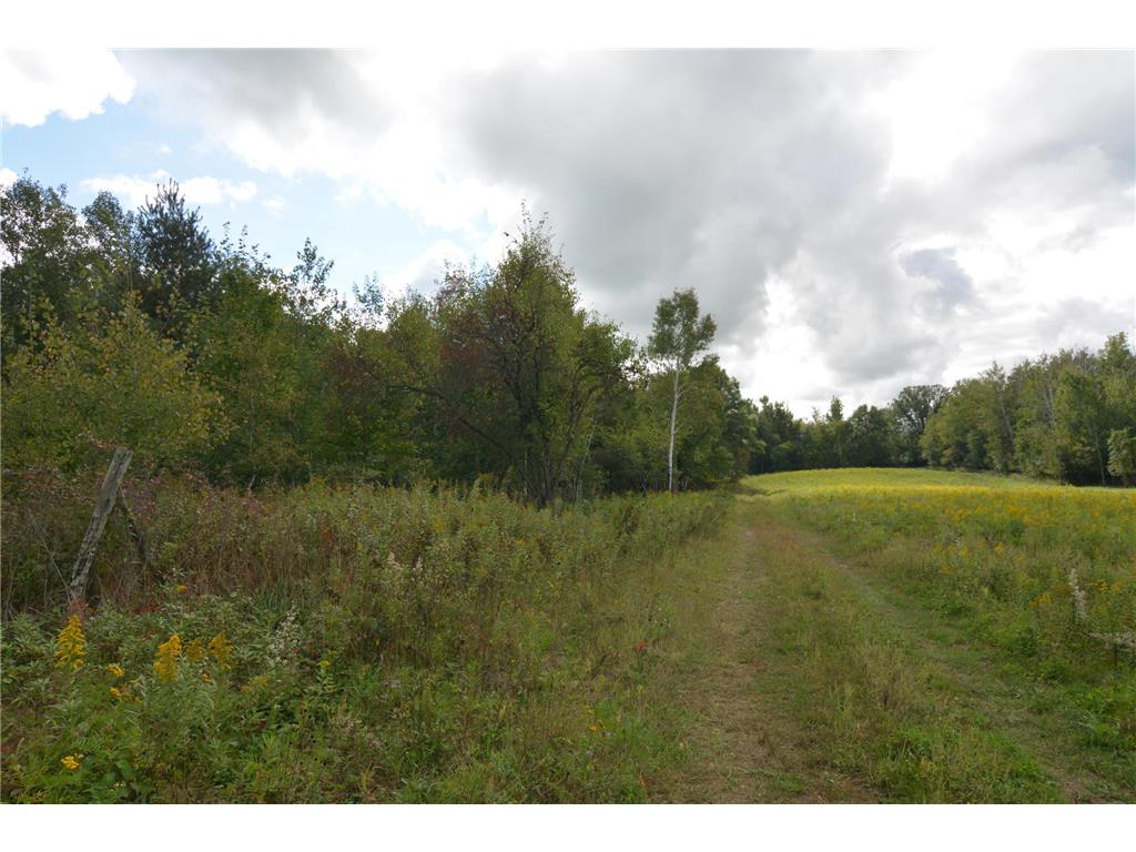 TBD 130th Avenue Milaca Twp MN 56353 7065096 image11