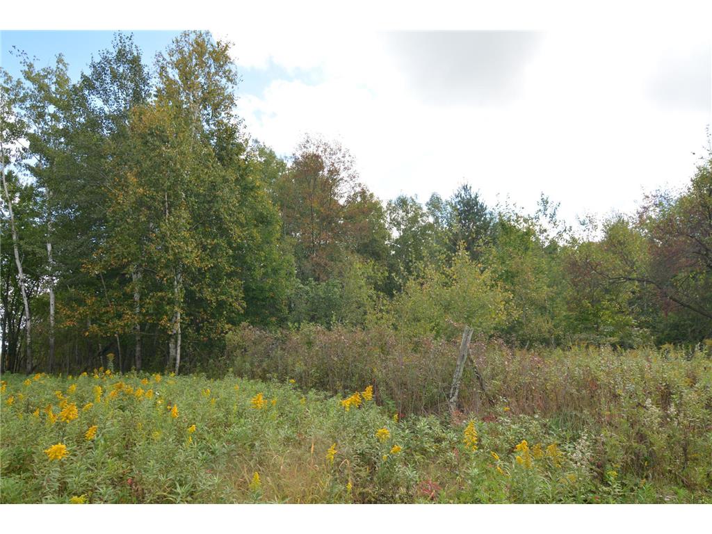 TBD 130th Avenue Milaca Twp MN 56353 7065096 image12