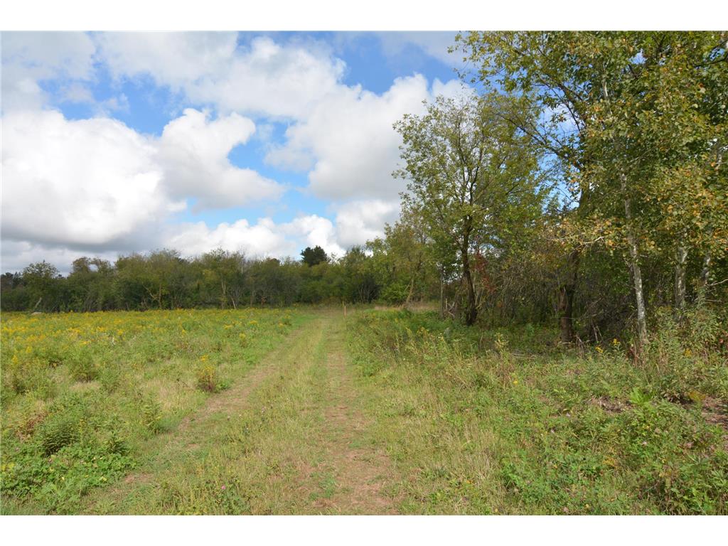 TBD 130th Avenue Milaca Twp MN 56353 7065096 image13