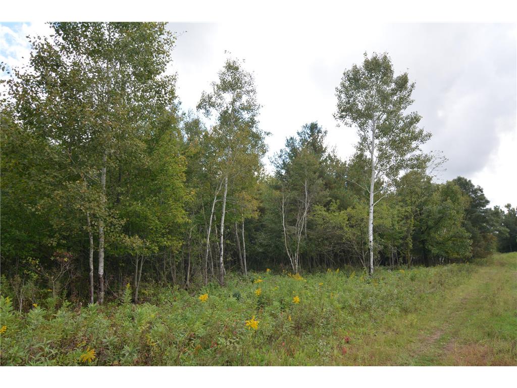 TBD 130th Avenue Milaca Twp MN 56353 7065096 image14