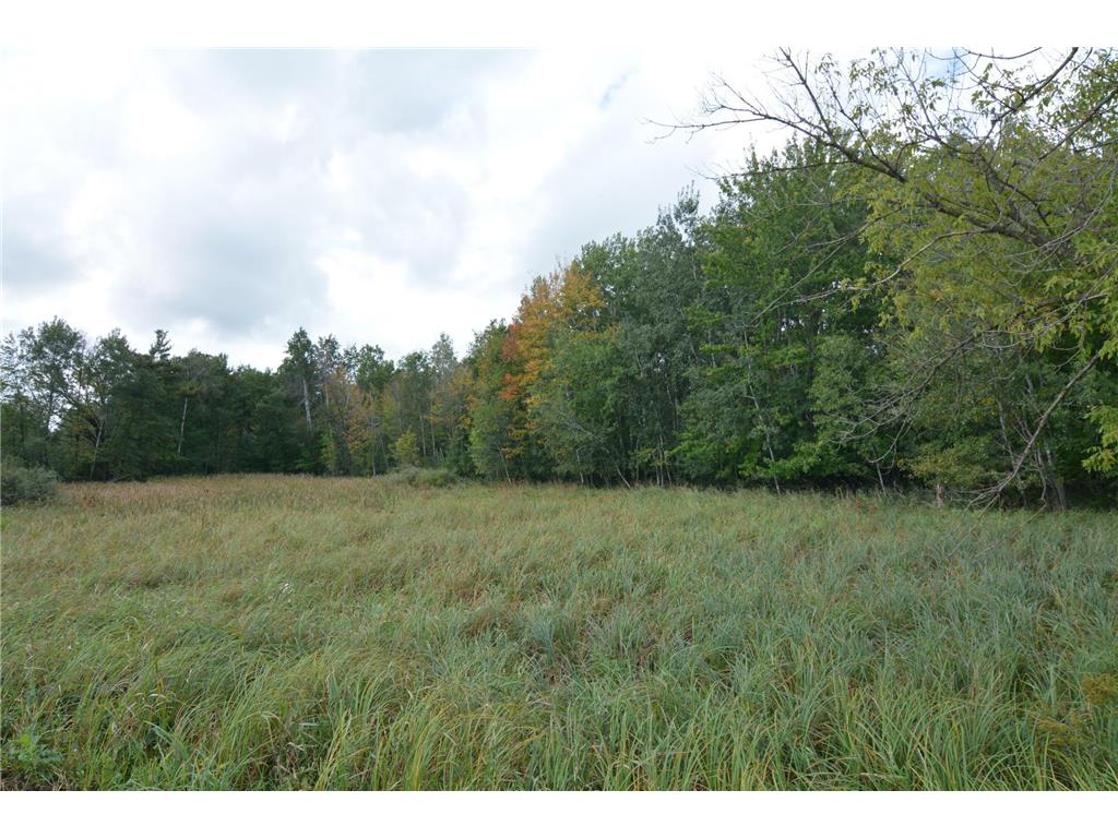 TBD 130th Avenue Milaca Twp MN 56353 7065096 image4