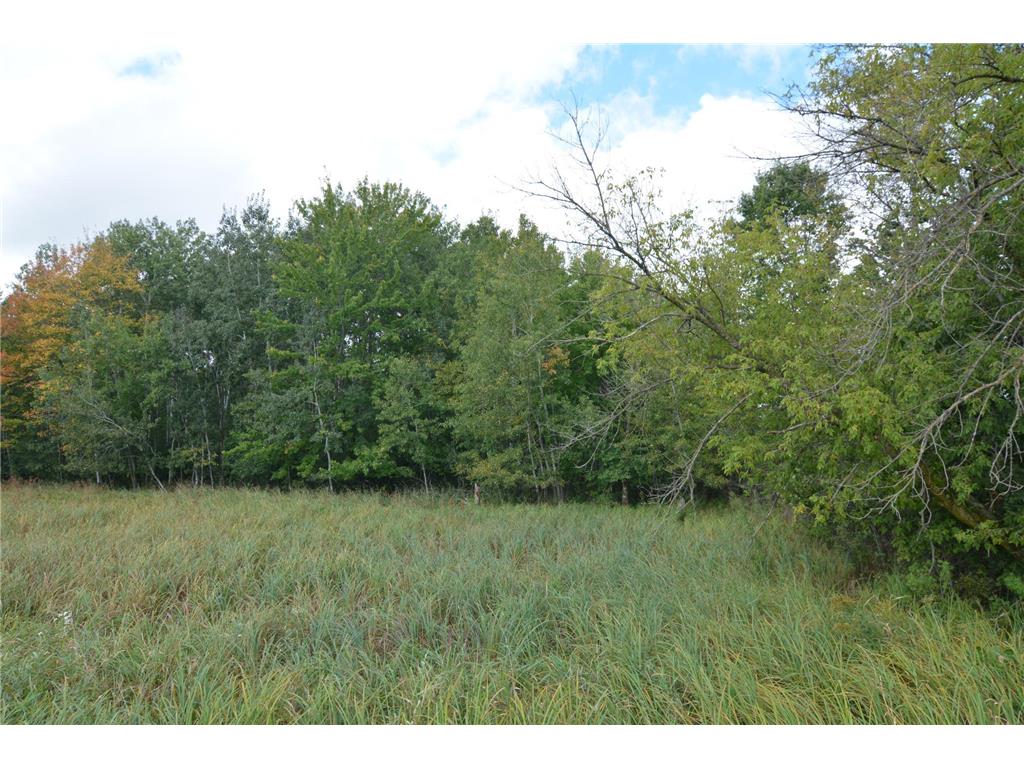 TBD 130th Avenue Milaca Twp MN 56353 7065096 image5