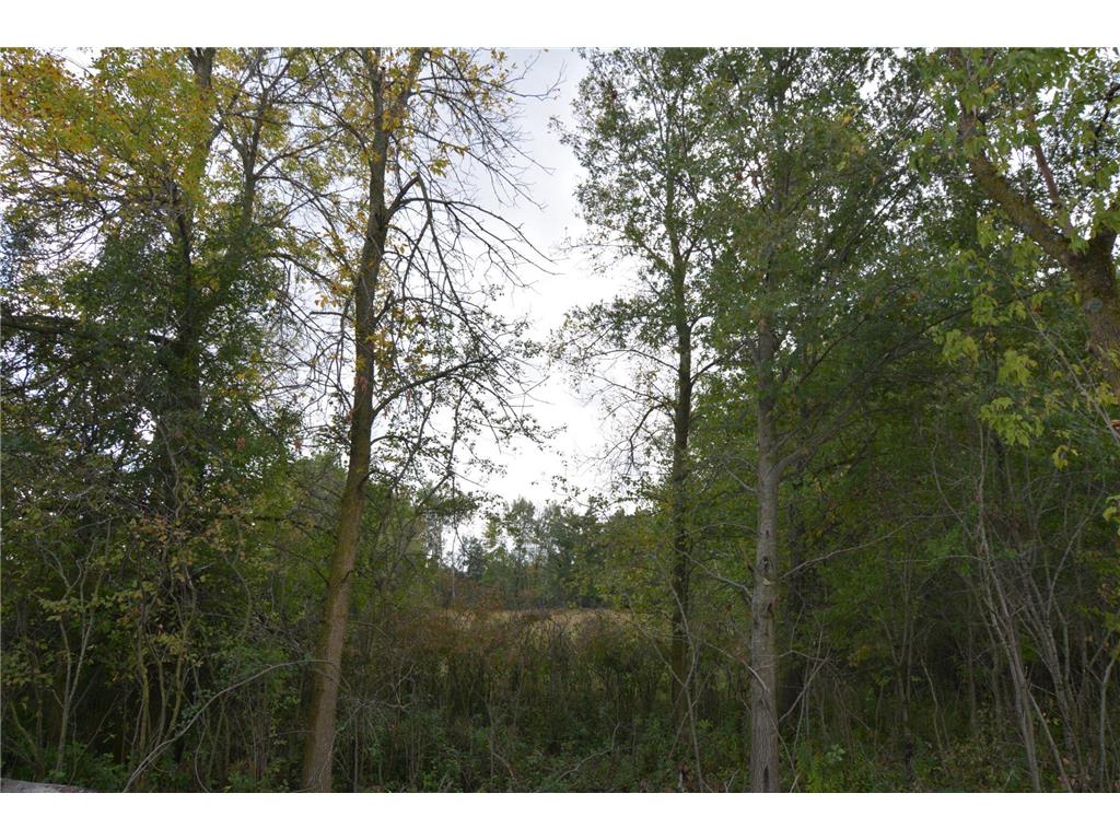 TBD 130th Avenue Milaca Twp MN 56353 7065096 image6
