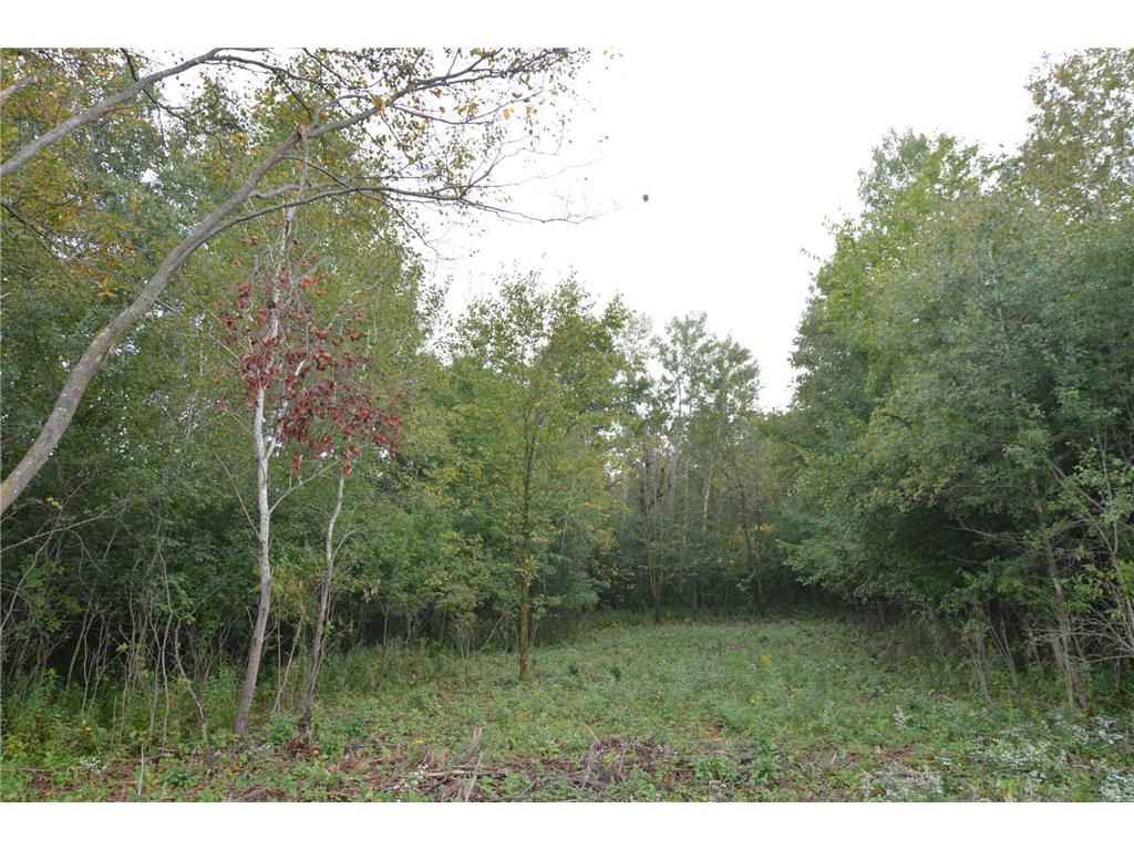 TBD 130th Avenue Milaca Twp MN 56353 7065096 image7