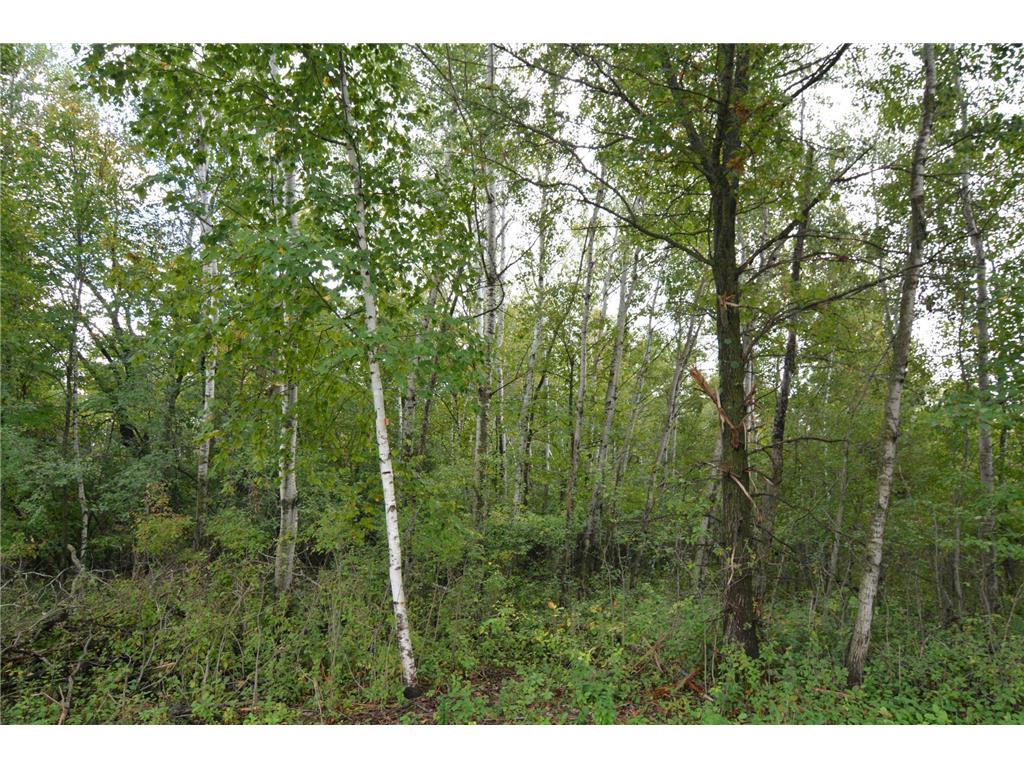 TBD 130th Avenue Milaca Twp MN 56353 7065096 image9