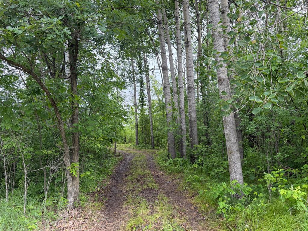 TBD 130th Street Burtrum MN 56318 7095387 image12