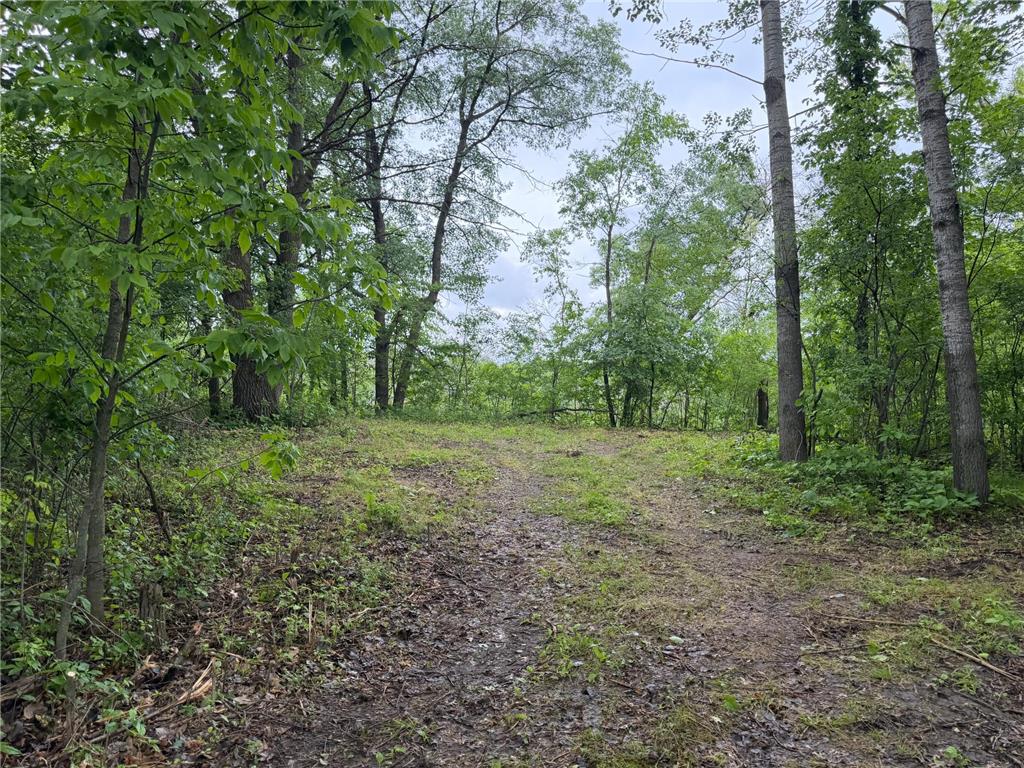 TBD 130th Street Burtrum MN 56318 7095387 image13