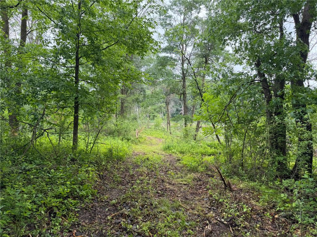 TBD 130th Street Burtrum MN 56318 7095387 image14