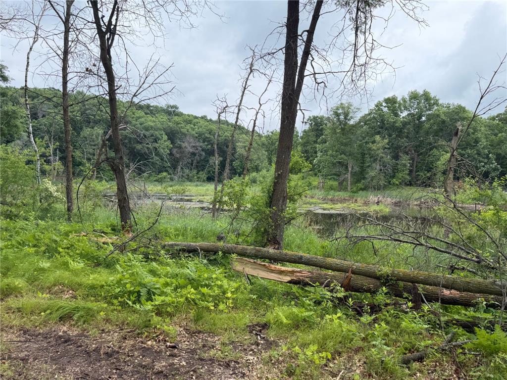 TBD 130th Street Burtrum MN 56318 7095387 image15