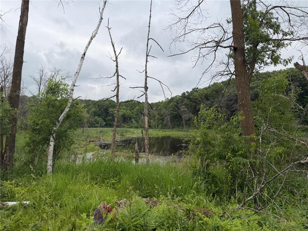 TBD 130th Street Burtrum MN 56318 7095387 image16