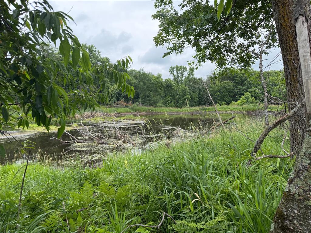 TBD 130th Street Burtrum MN 56318 7095387 image17