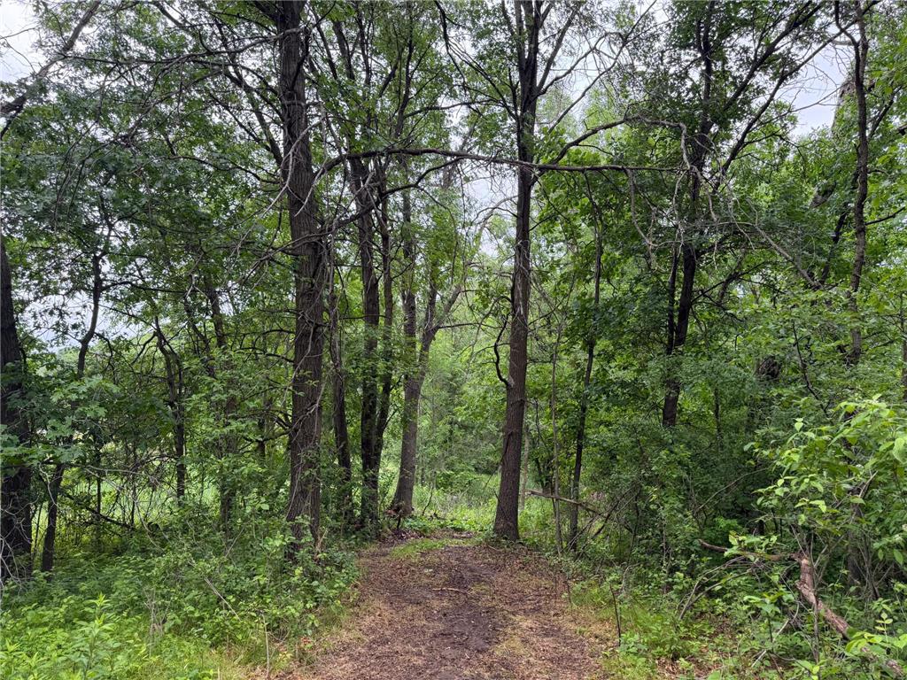 TBD 130th Street Burtrum MN 56318 7095387 image21