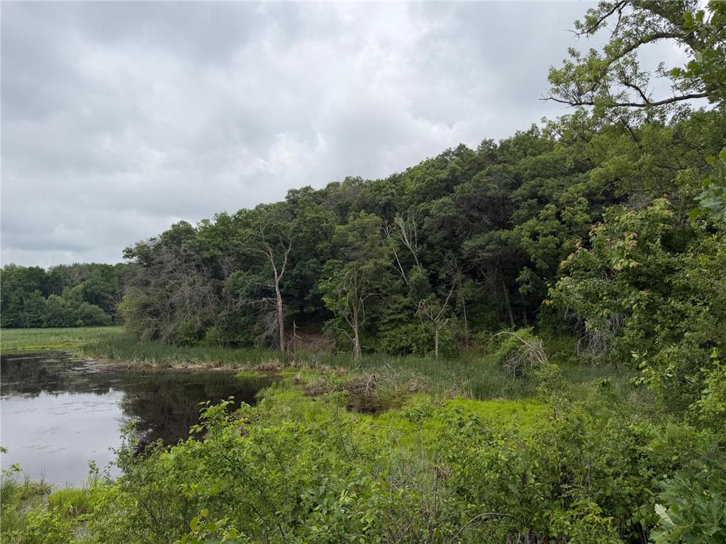 TBD 130th Street Burtrum MN 56318 7095387 image24