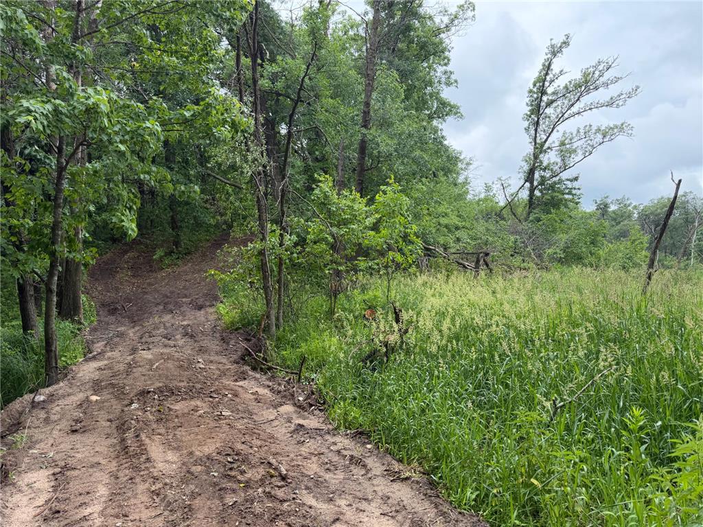 TBD 130th Street Burtrum MN 56318 7095387 image26